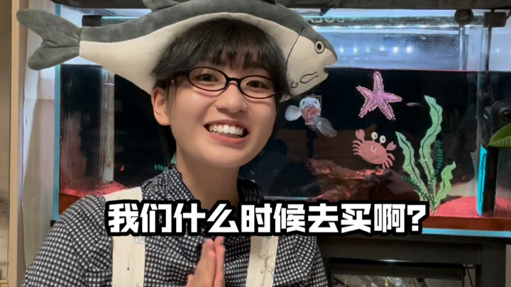 体验了一把小朋友的鱼缸造景…（乱涂乱画的感觉太棒了）
