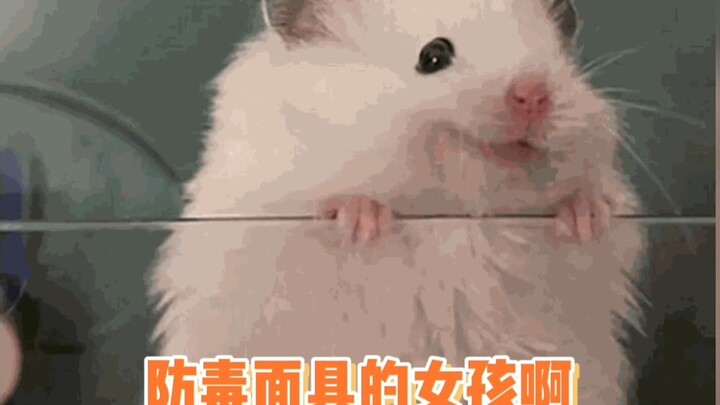 ดูดีขึ้นทันที