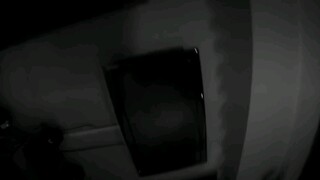 Saya sangat menyukai tarian mereka di rumah kaca kecil.