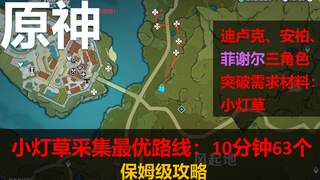 【原神】小灯草采集最优路线：10分钟63个-保姆级攻略