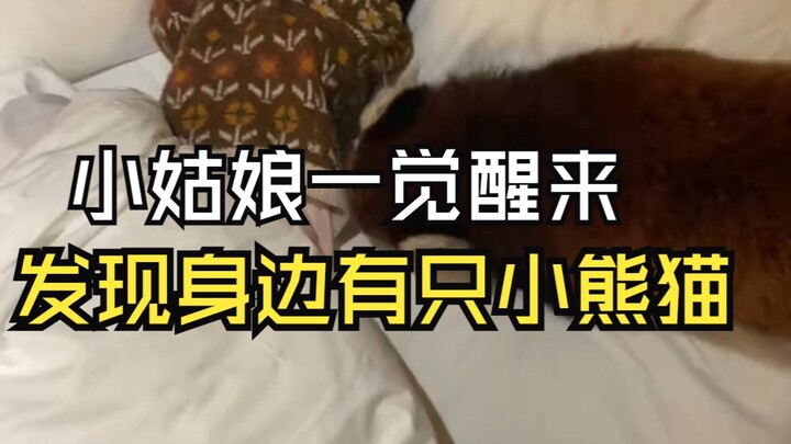 Gadis Kecil dan Panda Kecil