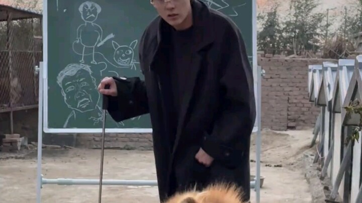 Hôm nay dạy đào tạo Ait, chỉ cho cậu ấy cắn Phan Hoành.