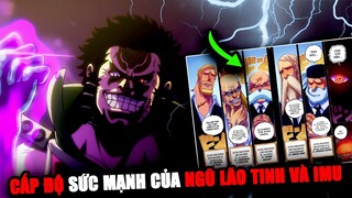 【One Piece 1086+】Giải Mã Ý Chí Của D! IMU, Ngũ Lão Tinh & Chính Phủ Mạnh Đến Mức Nào?