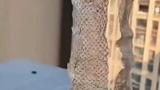 给嫂子喝点雄黄酒吧