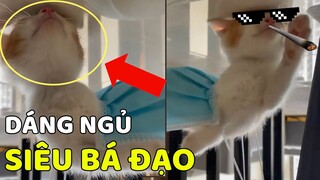 Đây chắc chắn là dáng ngủ bá đạo nhất năm của bé mèo ta siêu đáng yêu này 😂 | Yêu Lu