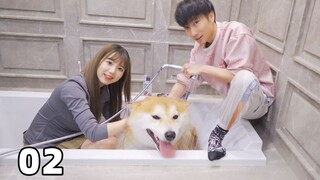 我们家多了两个人？！
