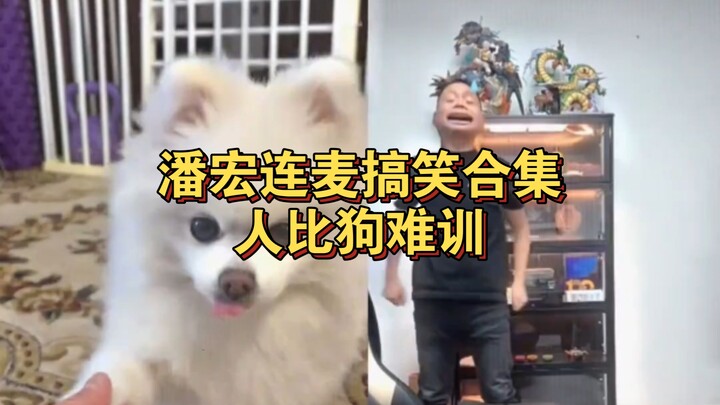 Pan Hong’s funny co-stream compilation: People are harder to train than dogs