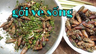 Gỏi Ve Sống Món Ăn Độc Lạ/Hoàng Việt Tây Bắc