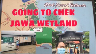 GOING TO CHEK JAWA WETLAND AT PALAU UBIN SINGAPORE