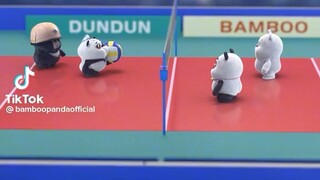 CUTE PANDA PLAYING VOLLEYBALL🥰🥰🥰🥰🥰🥰🥰🥰🥰🥰🥹🥹🥹🥹🥹🥹