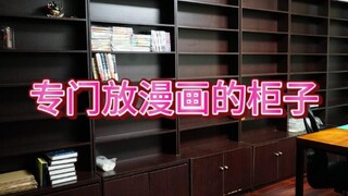 漫画分享01期 专门放漫画的柜子是什么样 书柜介绍