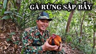 THỬ THÁCH SINH TỒN THĂM BẪY GÀ RỪNG VÀ BỮA TIỆC THỊT RỪNG ĐẦU NĂM | SURVIVAL