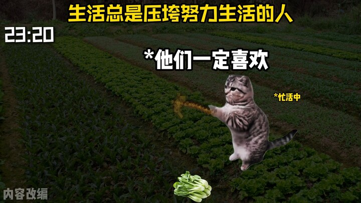 ชีวิตมักจะบดขยี้ผู้ที่ทำงานหนักเพื่อดำรงชีวิต