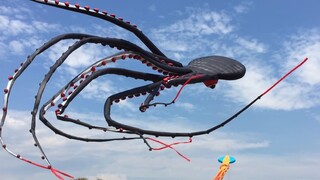 แม้แต่การเล่นว่าวก็ยังดูดีมีระดับ!