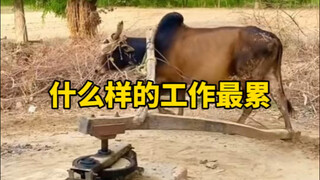 重复廉价而且劳动强度很高的工作到底有多累