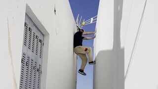 鱼跃前空帝多米尼克作品全集
