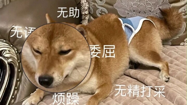 Aunt Wang’s boobs are spilling out! Get up already!!