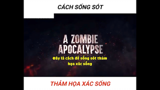 Làm gì khi gặp xác sống #sinhton