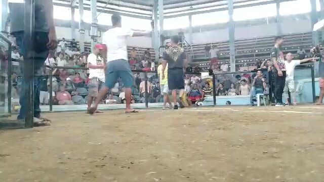 4 stag derby 2nd fight vs batman (Cauayan City Isabela)
