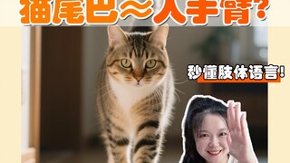 Do you mistake a cat's tail for a human arm? Learn cat body language in seconds!