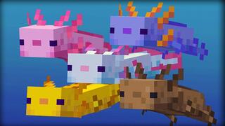 30 Things You Didn't Know About Axolotls in Minecraft