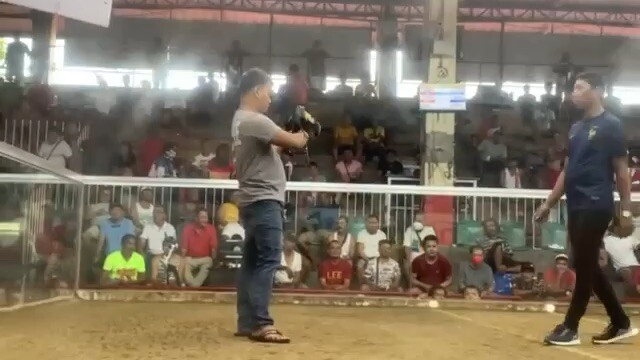 Ravena gamefarm kabal grey
