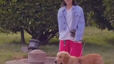 she train the dog for his best friend 🥺❤️🔥