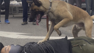 Everything has a spirit...