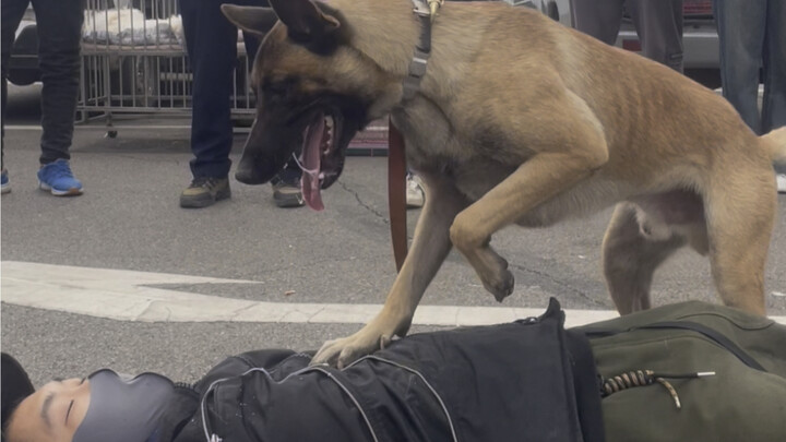 ทุกสิ่งล้วนมีจิตวิญญาณ...