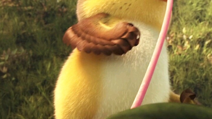 Cute little duckling