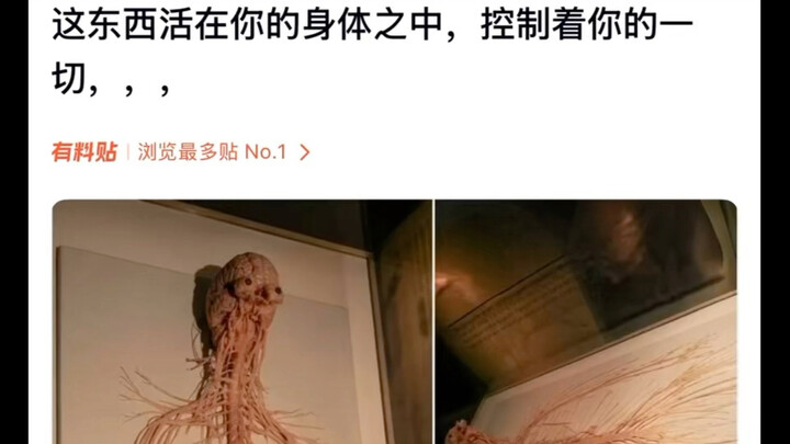 【Sử ký 21】Tát tát khai, tát tát khai, tát tát khai!