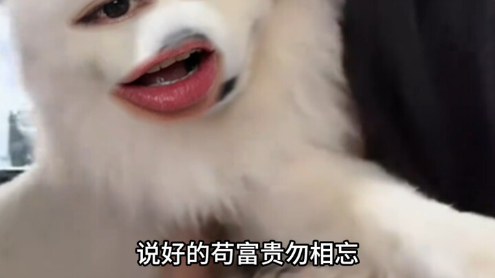 "Dogs get rich, but people don't let them."