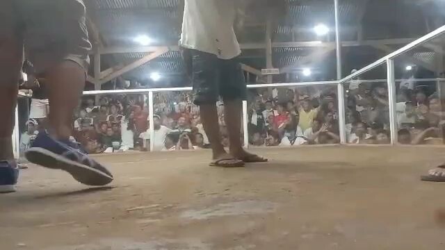 mabo gallera 3cock derby 3rd fight champion