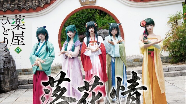 Hoa rơi nhẹ nhàng, mèo nhỏ bước đi | Phiên bản mèo của “Lạc Hoa Tình” – Lời thì thầm của cô gái tron