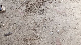 sarap ng bawi