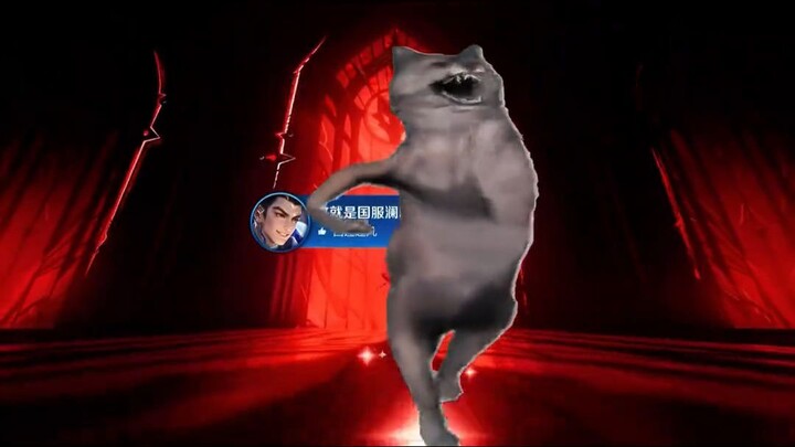 嗷呜！！！家里进澜了！！嗷呜