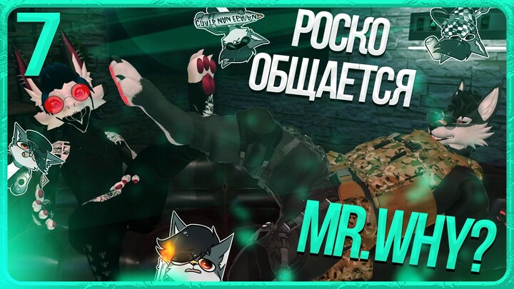 🐺 ОБЩЕНИЕ РОСКО С MR.WHY? | ЧАСТЬ 7