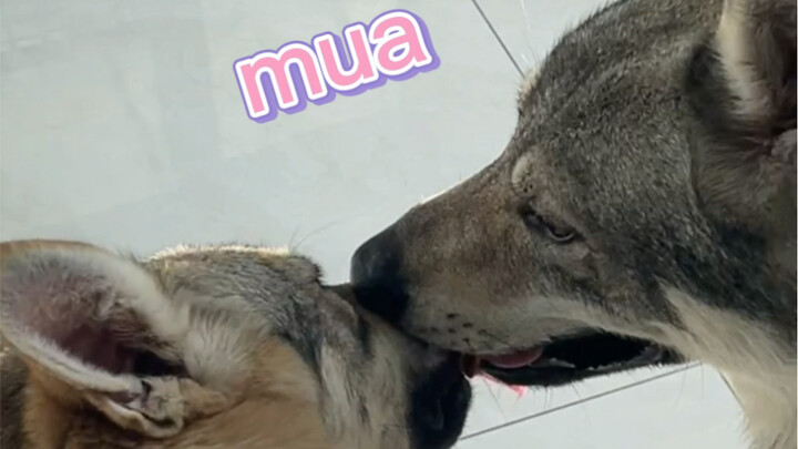 นี่มันผู้ชายเล่นตัวแบบไหนกัน??