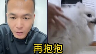 Pan Hong livestreams dog training, using the dog 🐶 to practice weightlifting!