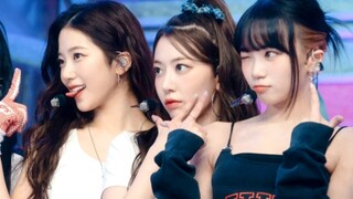 五支百万！LESSERAFIM安提罚酒全直拍Top16排名