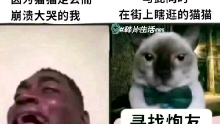 ภาพเด่นวันนี้