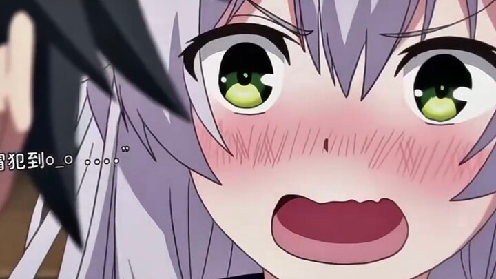 The White Cat Who Loves Tea