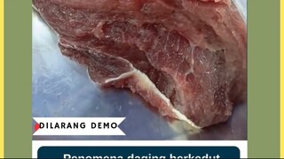 Tahukah kamu? Daging yang baru disembelih kadang masih bisa berkedut saat dipotong. Fenomena ini dis