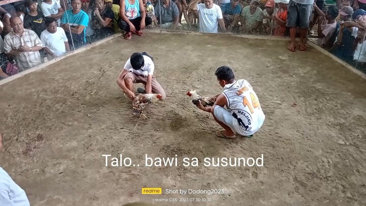 Talo mga boss