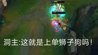 洞主:这就是上单狮子狗吗！