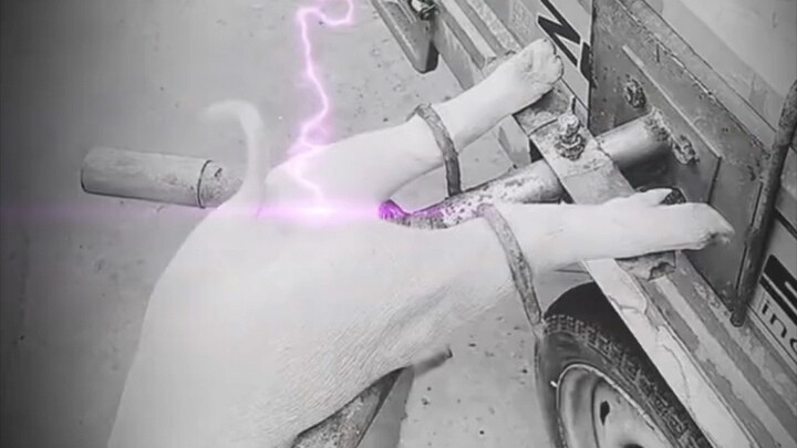 Knife pulls ass, _________