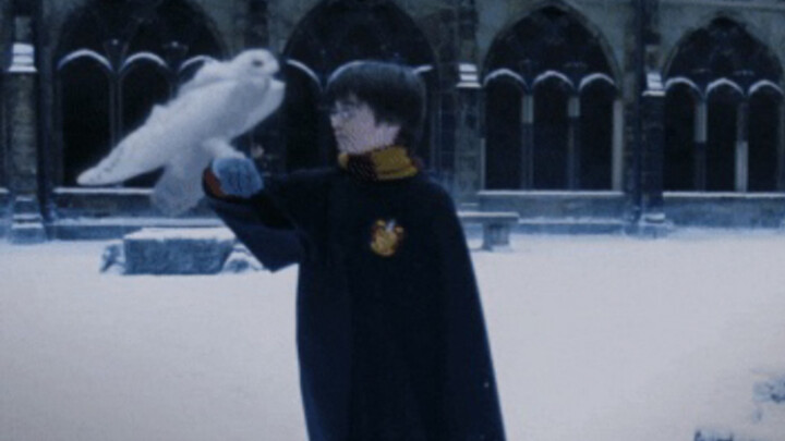 My boyfriend imitated a character from "Harry Potter"—it's not just similar, it's an exact match!