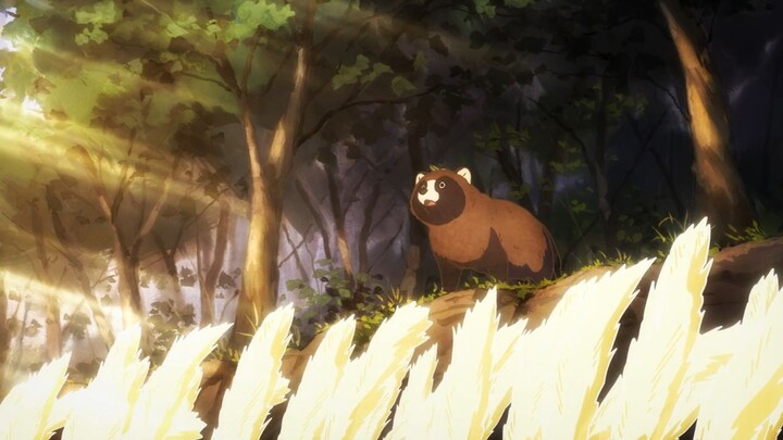 Would You like to Be a Tanuki? Diumumkan