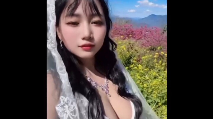 kebun bunga yang lagi bermekaran