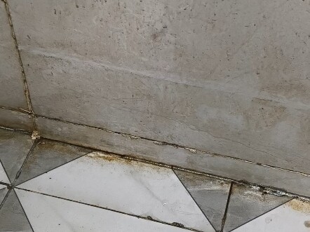 Anda tidak tahu tentang fleksibilitas kondom.
